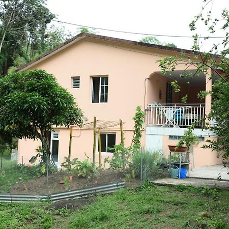 Maison Lavanne Saint-Joseph Екстериор снимка