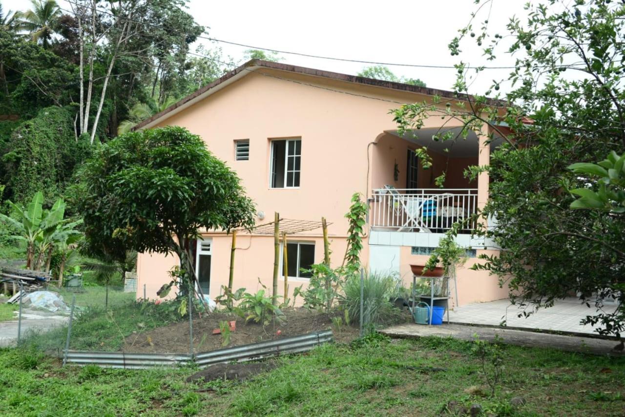 Maison Lavanne Saint-Joseph Екстериор снимка